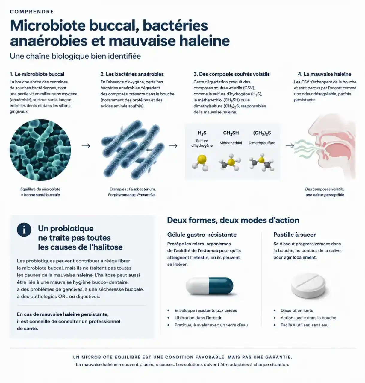 Infographie sur le microbiote buccal et les limites expliquées dans l’avis Noobiotik Flore Orale